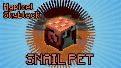 Wozu Das Snail Pet Gut Ist Hypixel Skyblock Deutsch Multidissimo