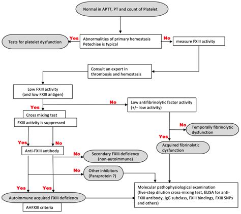 Jcm Free Full Text Measuring Factor Xiii Inhibitors In Patients With Factor Xiii Deficiency