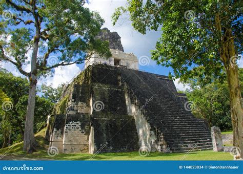 Tikal Maya Ruins Dans La For T Tropicale Du Guatemala Photo Stock