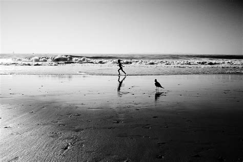 Katy Kim: AUGUST VIII • Cleaver Magazine