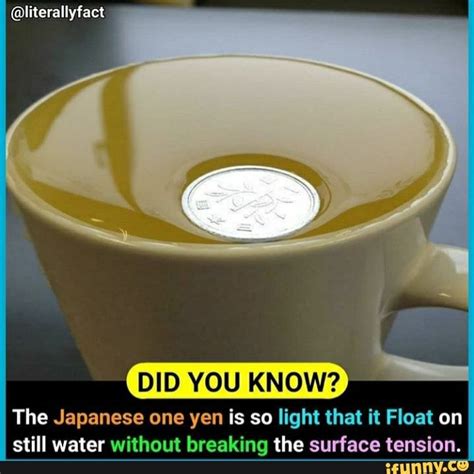 Did You Know The Japanese One Yen Is So Light That It Float On Still Water Without Breaking The