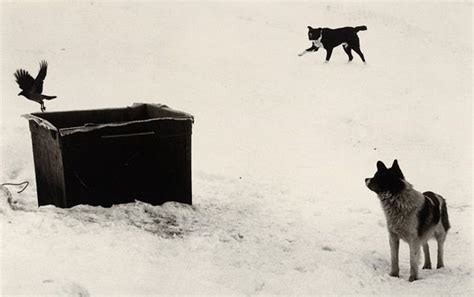 Pentti Sammallahti Inspiration From Masters Of Photography