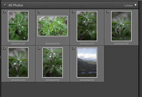 How To Import Photos In Lightroom Step By Step