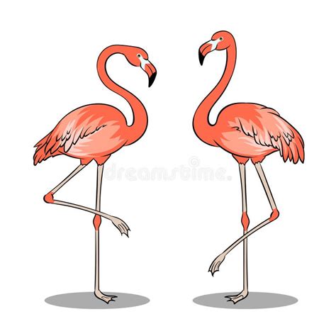 Ilustração Cor de rosa Do Vetor Do Pop Art Do Pássaro Do Flamingo