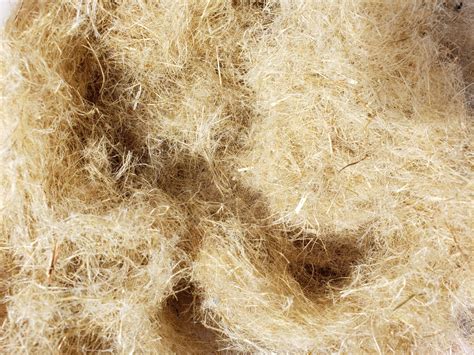 Hemp Fibre