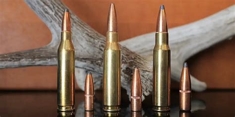 243 Vs 308 Vs 7mm 08 Which Is Right For You