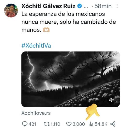 Greñalda on Twitter Prácticamente Xóchitl y tú mandaron a la misma