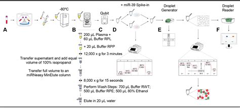 Plasma Microrna Quantification Protocol