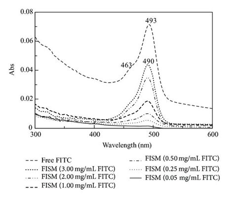 UV Vis Absorption Of An Aqueous Suspension Of Free FITC And FISM