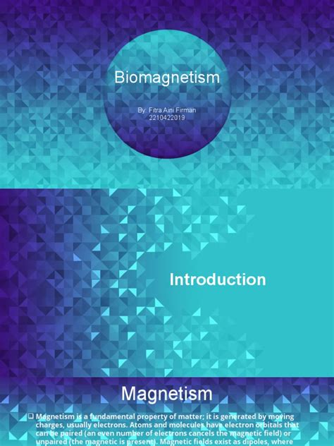 Biomagnetism | PDF