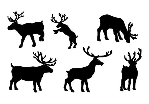 Premium Vector Deer Vector Illustration