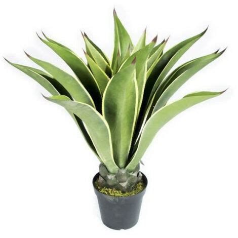 CATRAL Plante Artificielle Agave Mini 98cm