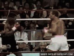 tyson | GIF | PrimoGIF