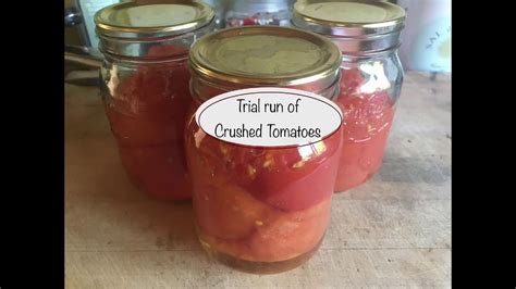 Summer Spoiler Trial Crushed Lazy Tomatoes Mason Jars Whole Tomato Usda Safe Pressure Canning