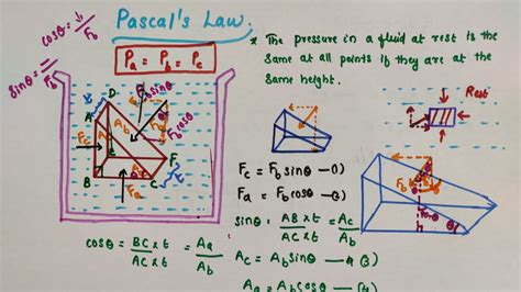 Pascal S Law Chapter Mechanical Properties Of Fluids Class