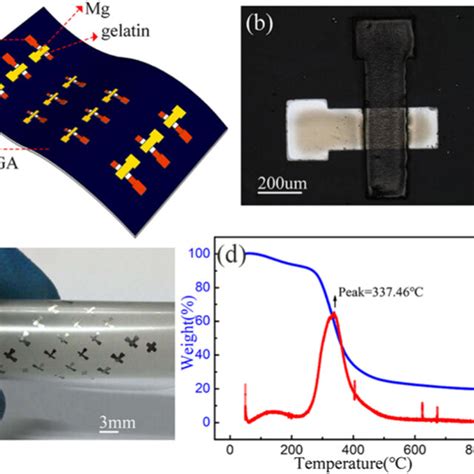 A A Schematic Structure Of The Flexible Mg TE Gelatin W PLGA Device