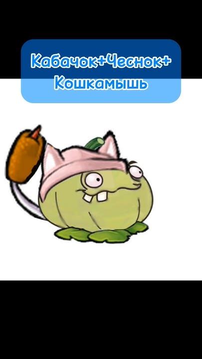 Кабачок+Чесно+Кошкамышь #пвз #рекомендации #пвз2 #пвздичь # ...