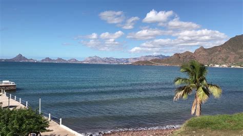 Sea Of Cortes At Hotel Playa De Cortes Youtube