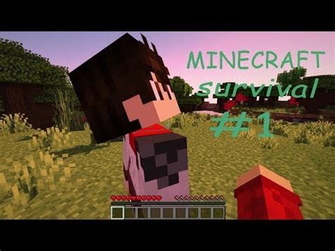 Minecraft Survival Let S Play Ep 1 YouTube