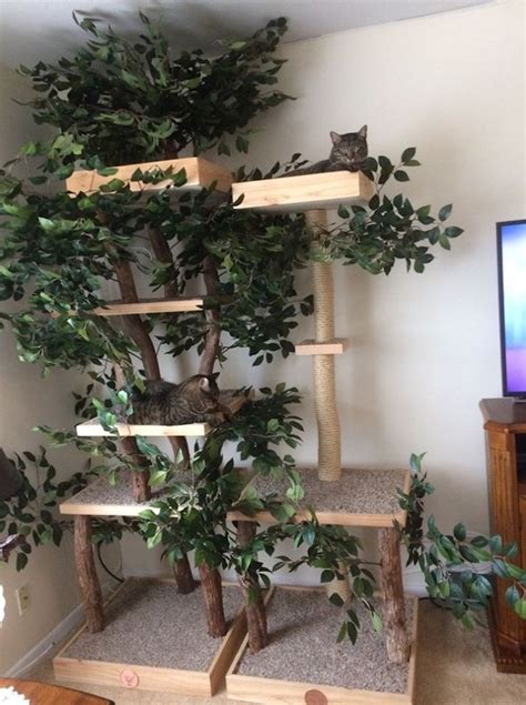 Indoor Cat Towers Made From Real Trees Provide A Lifelike Outdoor