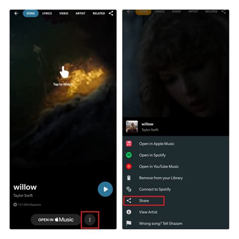 How To Share Songs To Instagram Stories From Spotify Apple Music And