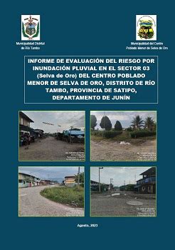 Informe de evaluación del riesgo por inundación pluvial en el sector 03