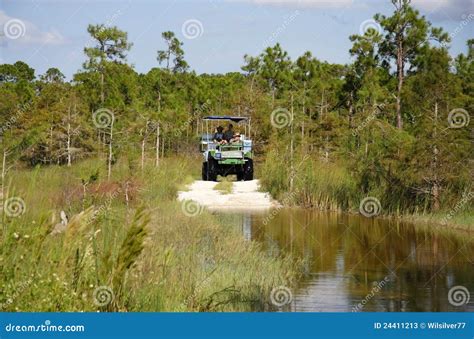 Everglades Swamp Buggy Tour Editorial Stock Photo - Image of ...