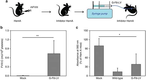 Fviii Expression In Platelets Of G F8 Lv Treated Inhibitor Hema Mice