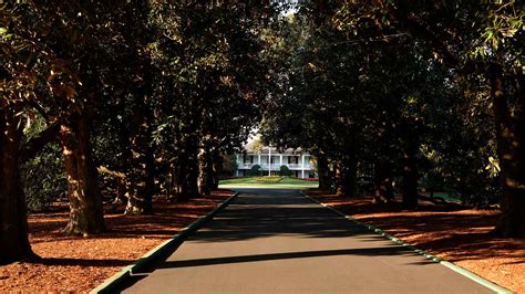 Paving Magnolia Lane might be the most intense job in golf