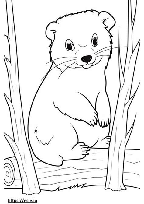 Angora Ferret coloring pages - free printable