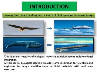 Bio Inspired Materials Ppt Ppt