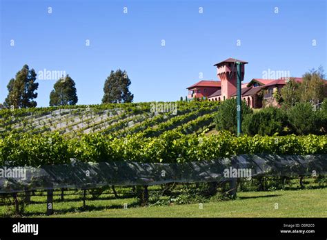 Marlborough Wine Region New Zealand Stock Photo Alamy