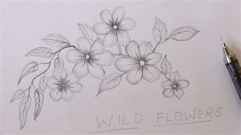 How To Draw A Bunch Of Wild Flowers Very Easy Super Easy Flower