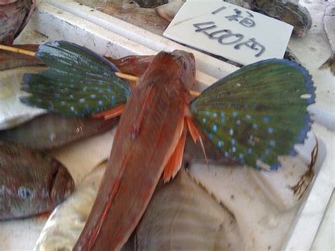 ほうぼうgurnard Yams Traditional Japanese