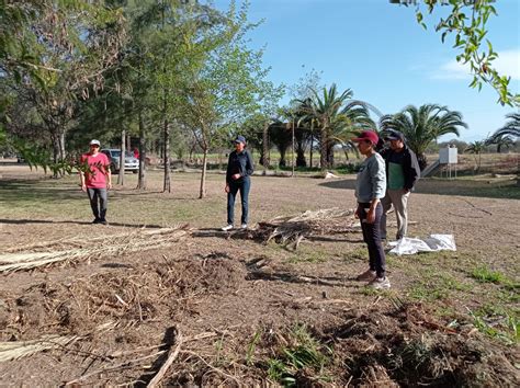 Cedaf Centro De Estudios Para El Desarrollo De La Agricultura Familiar