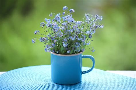 Forget Me Not Flowers Symbolic Meaning Best Flower Site