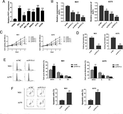 Figure From Long Noncoding Rna Pvt Promotes Melanoma Progression Via