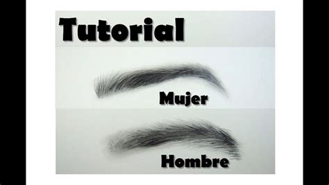 Cómo dibujar cejas paso a paso How to draw eyebrows Dibujos de ojos