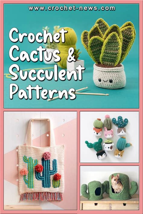 42 Crochet Cactus and Crochet Succulent Patterns - Crochet News