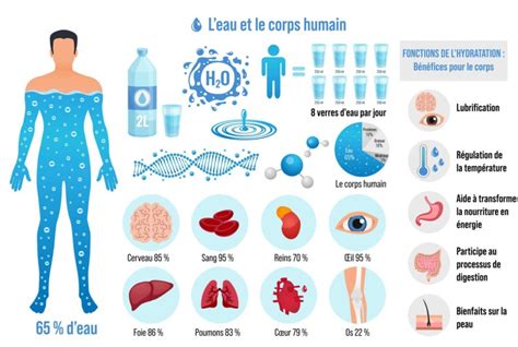 Notre Corps Perd Chaque Jour Litres D Eau Omijo