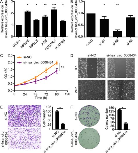 Hsacirc0008434 Promotes Gc Cell Proliferation Migration And Invasion Download Scientific