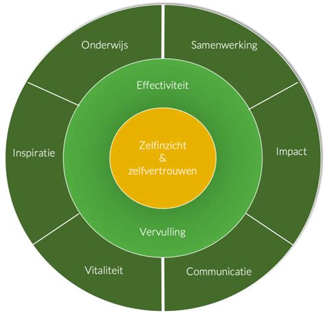 Persoonlijk Leiderschap In Onderwijs Academic Vision