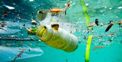 Meio Ambiente Mais Plástico Do Que Peixes Até 2050 Waves