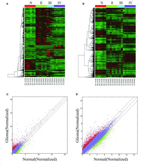 Differentially Expressed Lncrnas And Mrnas In Glioma Tissues And