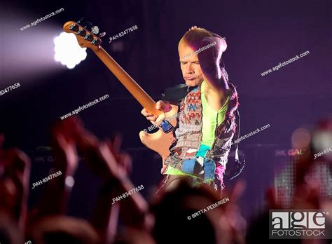 Bassist Michael Flea Balzary Of The Us American Band Red Hot Chili