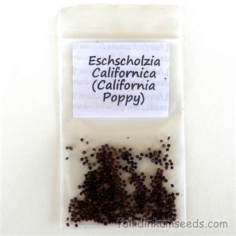 Eschscholzia Californica California Poppy Seeds Fair Dinkum Seeds