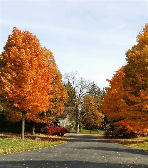 Vintage Diana: Michigan Fall Foliage Tour