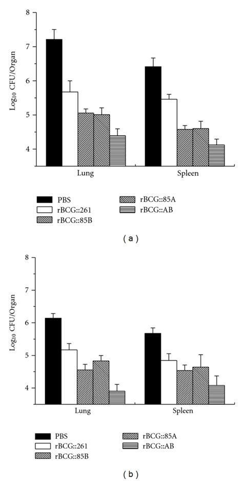 Bacterial Loads Per Lung And Spleen In C Bl Mice At And Weeks