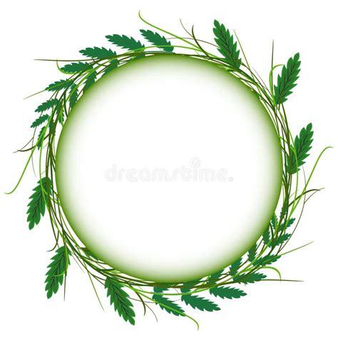 Abstract Green Grass Circle Frame Vector Whit Stock Vector