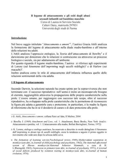 Relazione Psicodinamica Delle Relazioni Familiari Versione Finale Il Legame Di Attaccamento